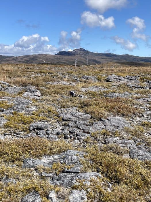 Denniston Plateau